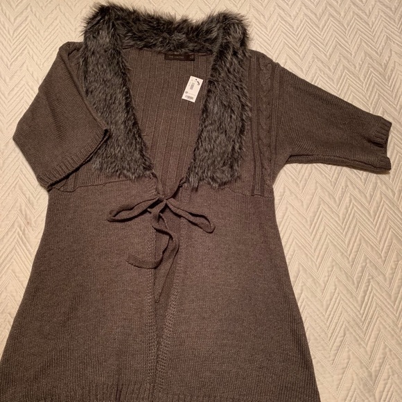 The Limited - Picture 1 of 5